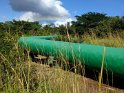 On another hike to a national park, we saw some of Costa Rica's new energy infrastructure. This big pipeline carries steam from volcanoes to an electrical generation plant. Costa Rica plans to be carbon neutral in energy production within ten years.