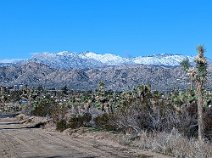 10view from driveway After the first day of rain, we saw this view from our rental house every morning! These are the San Bernardino mountains, separating Joshua Tree from the Los...