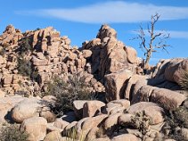 12boulders Down in the heart of the Mohave section of the Park, we wandered among spectacular piles of granite boulders. These began their lives five miles underground and...