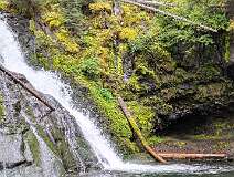 13: Back to the woods. This shady, mossy glen is advantaged by Bozeman's wet summer